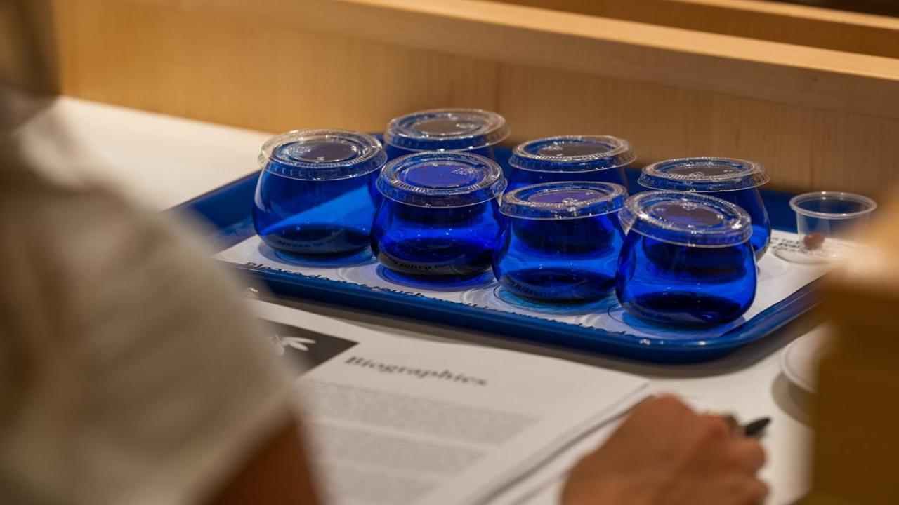 olive oil testing glasses