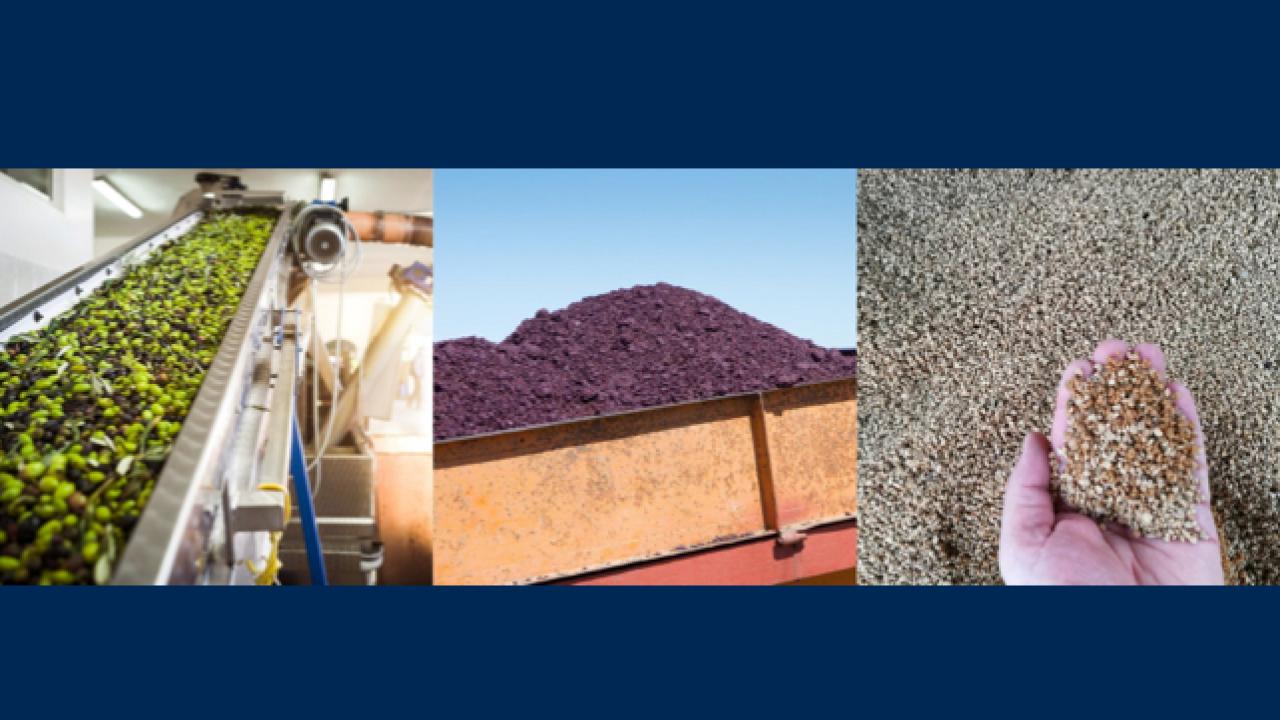 3 images of olive processing side by side