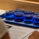 olive oil testing glasses